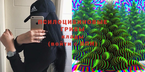 a pvp Белокуриха