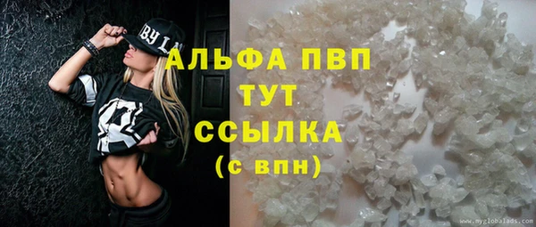 a pvp Белокуриха