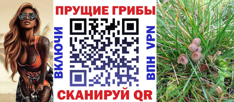 это клад  Пыть-Ях  Галлюциногенные грибы GOLDEN TEACHER  гидра ONION 