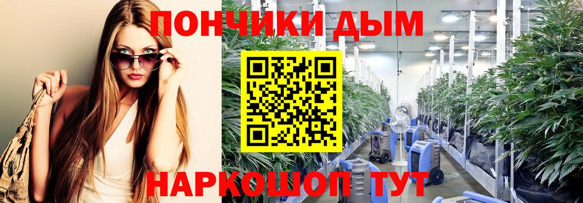 Бошки Шишки ГИДРОПОН Пыть-Ях
